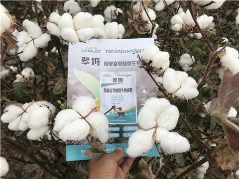 微生物菌劑，根碧多，拉姆拉