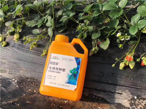 根碧多，微生物菌劑，拉姆拉