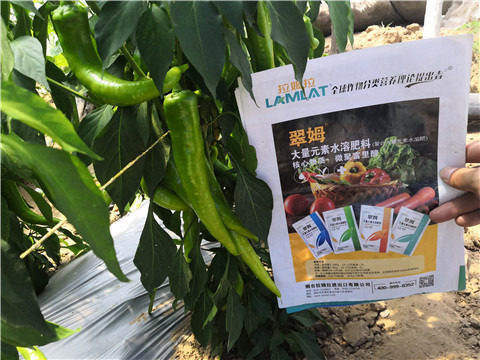 水溶肥，拉姆拉