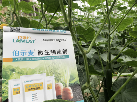 微生物菌劑，生根劑，拉姆拉