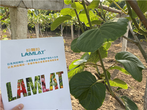 大量元素水溶肥，拉姆拉