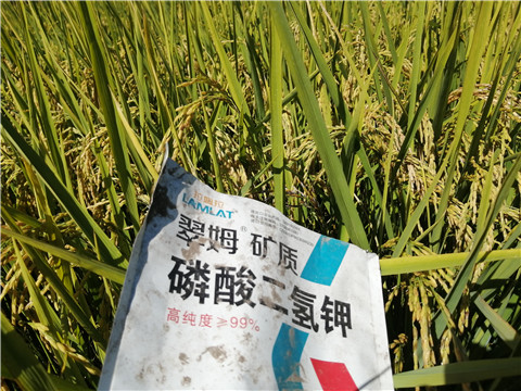 磷酸二氫鉀，翠姆，拉姆拉