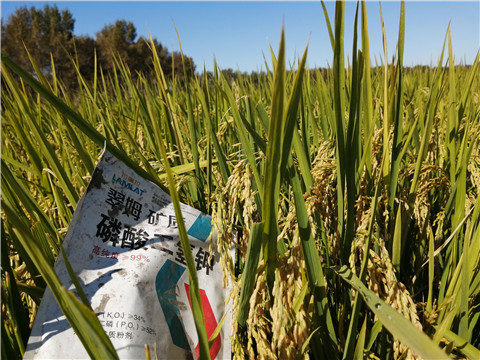 磷酸二氫鉀，翠姆，拉姆拉