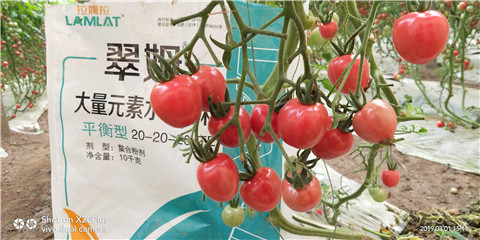 水溶肥，翠姆，拉姆拉