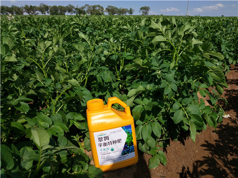 水溶肥，翠姆，拉姆拉