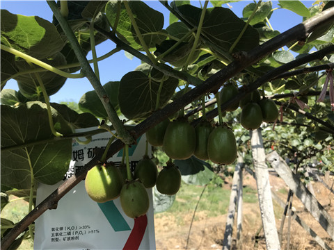 磷酸二氫鉀，拉姆拉