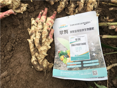 微生物菌劑，翠姆，拉姆拉