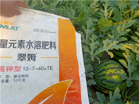 水溶肥，拉姆拉，翠姆