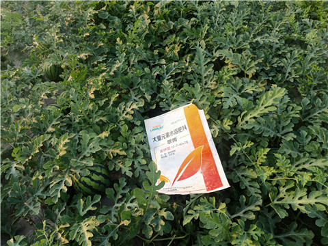 水溶肥，拉姆拉，翠姆