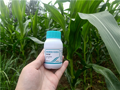 安碧解，拉姆拉