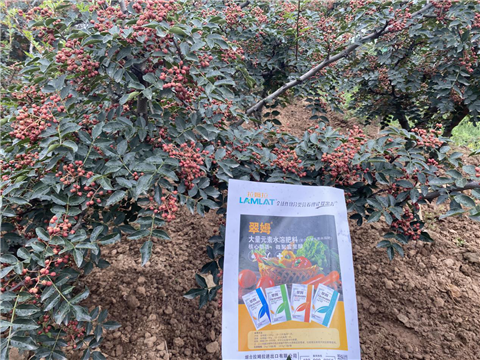 花椒種植，大量元素水溶肥，翠姆