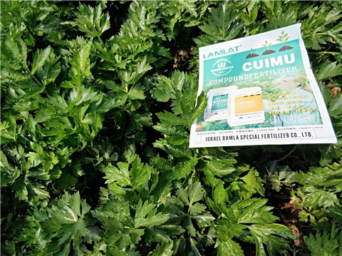 高鉀水溶肥，磷酸二氫鉀，拉姆拉，翠姆