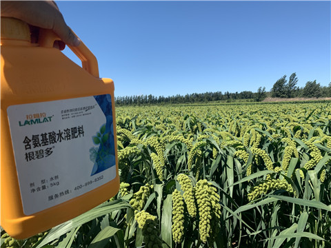 磷酸二氫鉀，拉姆拉，翠姆