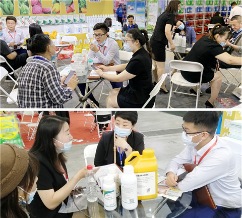 植保會，拉姆拉，翠姆