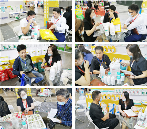 植保會，拉姆拉，翠姆