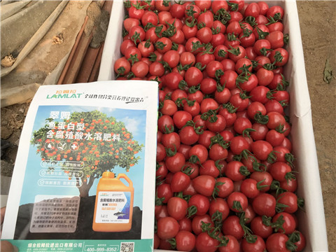 微生物菌劑，磷酸二氫鉀，翠姆，拉姆拉