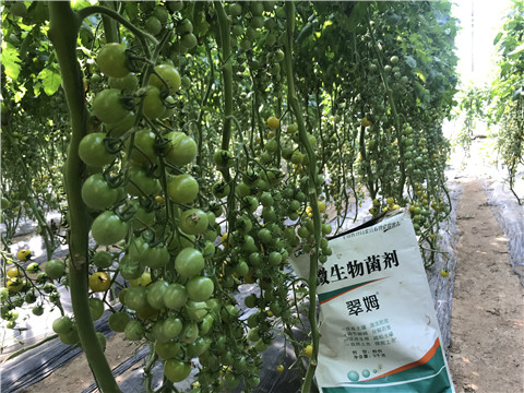 微生物菌劑，磷酸二氫鉀，翠姆，拉姆拉