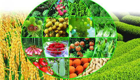 水溶肥，拉姆拉，翠姆