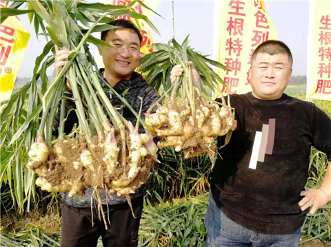 水溶肥，翠姆，拉姆拉