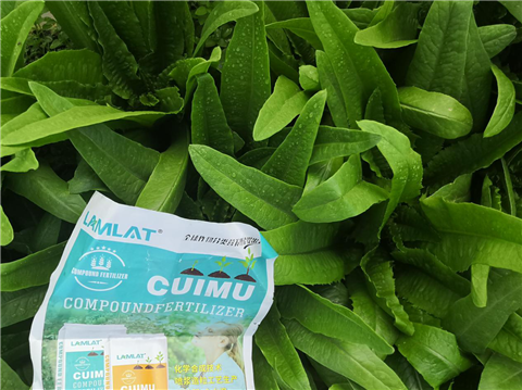水溶肥，翠姆，拉姆拉