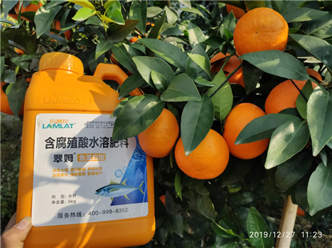 水溶肥，翠姆，拉姆拉