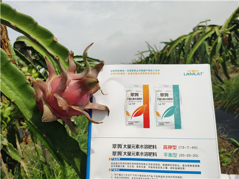 進(jìn)口水溶肥，拉姆拉，翠姆