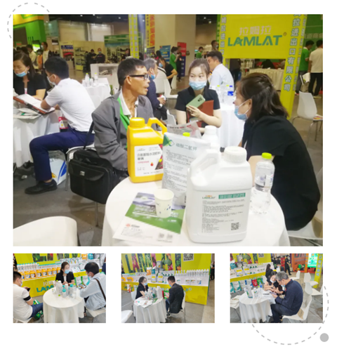 廣西植保會,拉姆拉 廣西植保會,拉姆拉