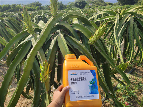 水溶肥，拉姆拉，翠姆