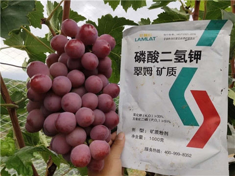 進(jìn)口水溶肥，拉姆拉，翠姆