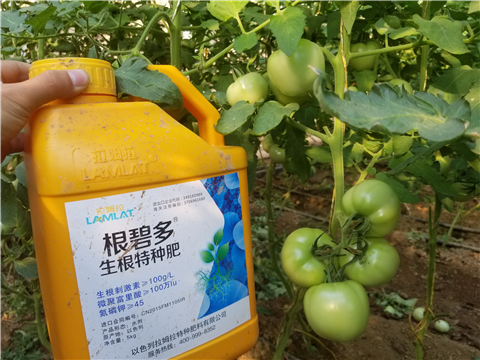 葉面肥，磷酸二氫鉀，微生物菌劑，翠姆，拉姆拉