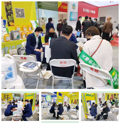 水溶肥，拉姆拉，翠姆