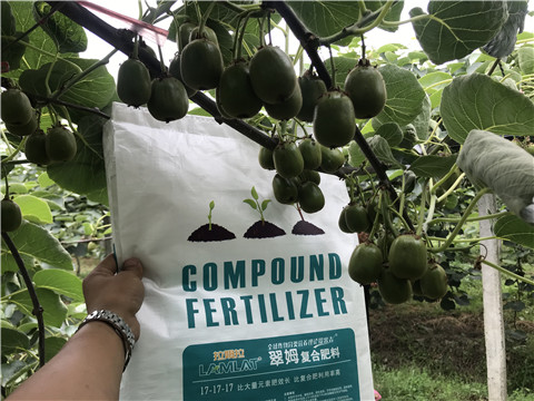 顆粒水溶肥，拉姆拉，翠姆