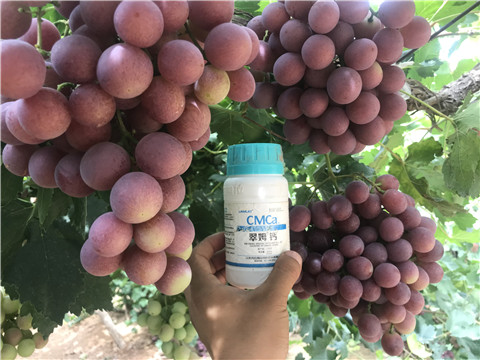 葉面肥，磷酸二氫鉀，鈣肥，翠姆，拉姆拉