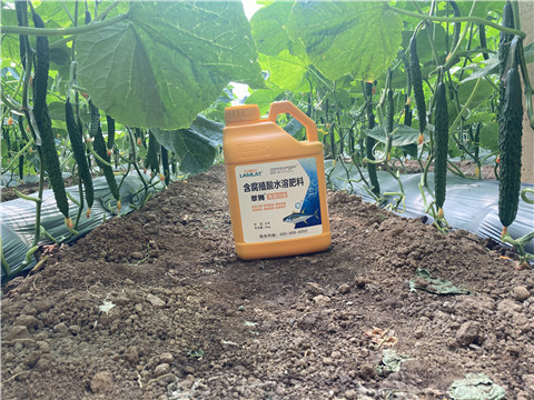 水溶肥，拉姆拉，翠姆