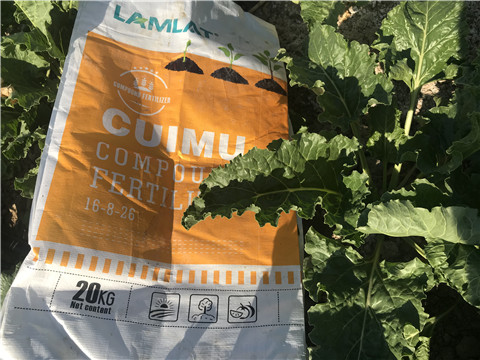 顆粒水溶肥，拉姆拉，翠姆