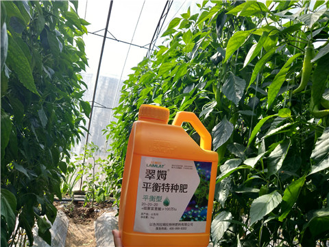 滴灌肥，拉姆拉，翠姆