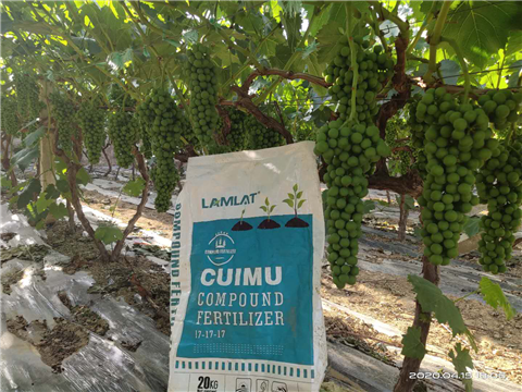 水溶肥，拉姆拉，翠姆