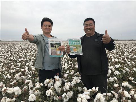 棉花，水溶肥，拉姆拉，翠姆