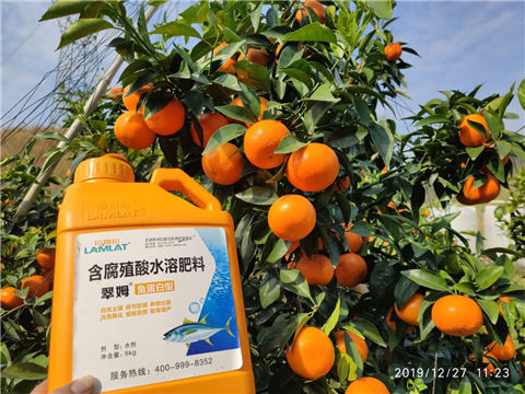 水溶肥，拉姆拉，翠姆