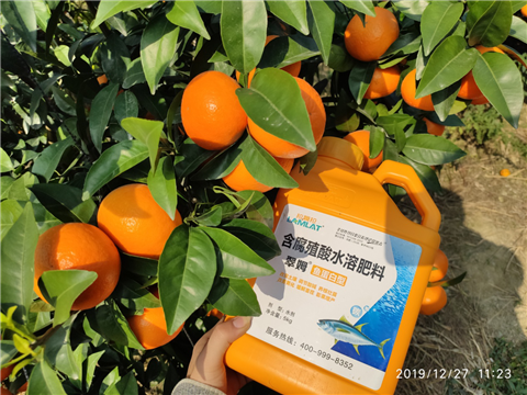 水溶肥，拉姆拉，翠姆