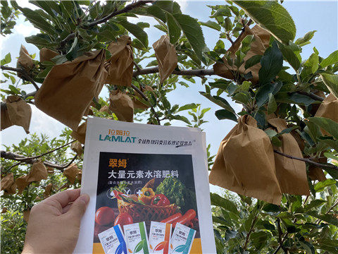 大量元素水溶肥，拉姆拉，翠姆