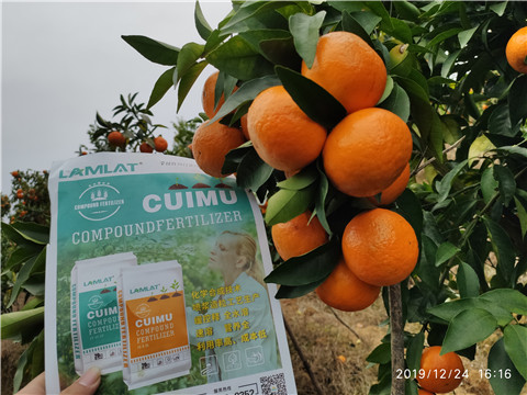 進(jìn)口水溶肥，拉姆拉，翠姆