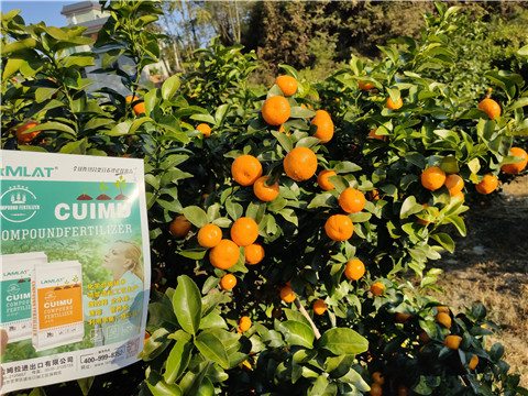 進(jìn)口水溶肥，拉姆拉，翠姆