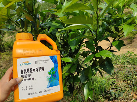 水溶肥，拉姆拉，翠姆