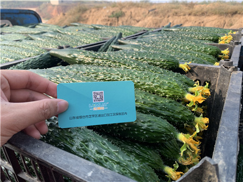 水溶肥，拉姆拉，伯示麥