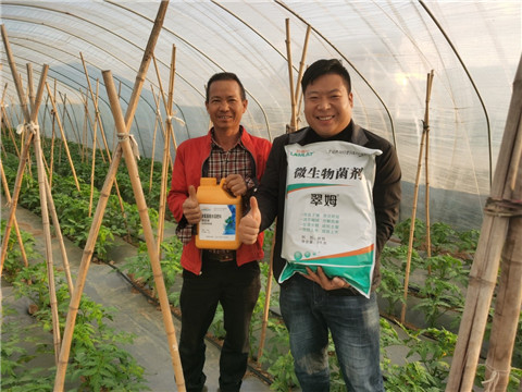 水溶肥，拉姆拉，翠姆