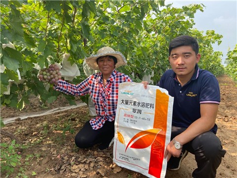 大量元素水溶肥，拉姆拉，翠姆