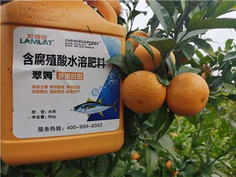 水溶肥，拉姆拉，翠姆