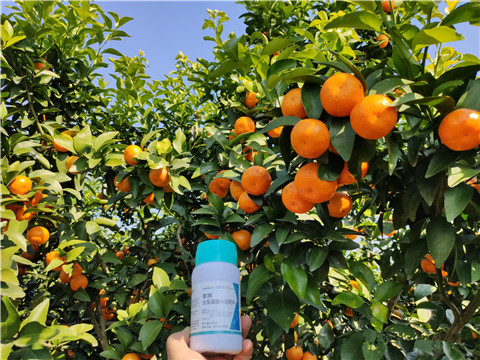 葉面肥，拉姆拉，翠姆