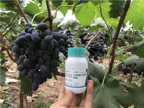 進(jìn)口水溶肥，拉姆拉，翠姆